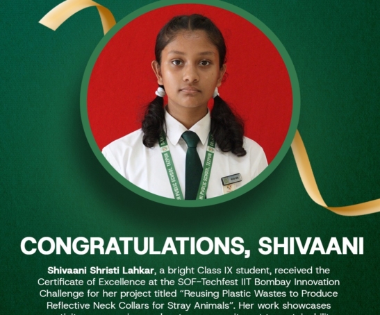 Certificate of Excellence at the SOF-Techfest IIT Bombay Innovation Challenge