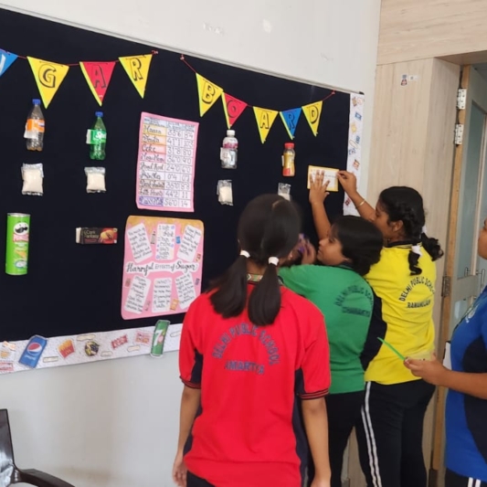 The Sugar Board Activity-2025-4