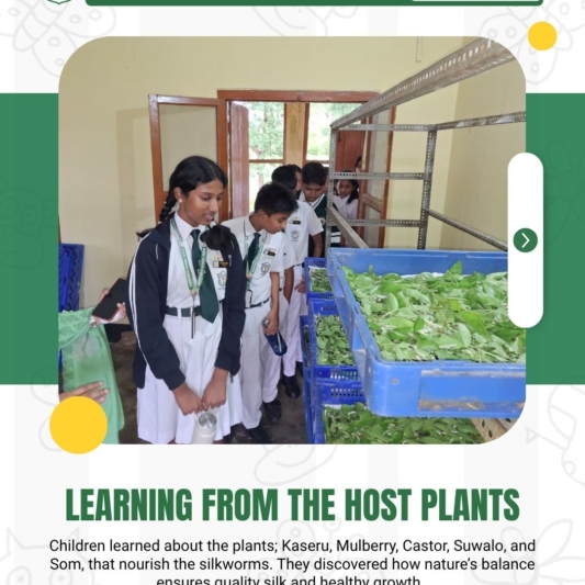 Experiential Learning @DPST-3